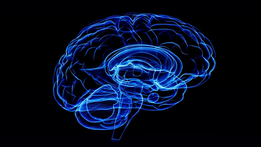 LA START-UP REBRAIN SIGNE UNE LICENCE D’EXPLOITATION AVEC LA SATT AQUITAINE