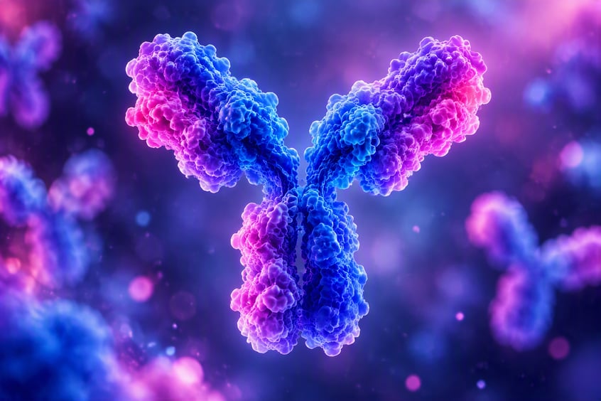 Biotechnologies : la SATT Aquitaine investit pour accélérer le développement des anticorps conjugués