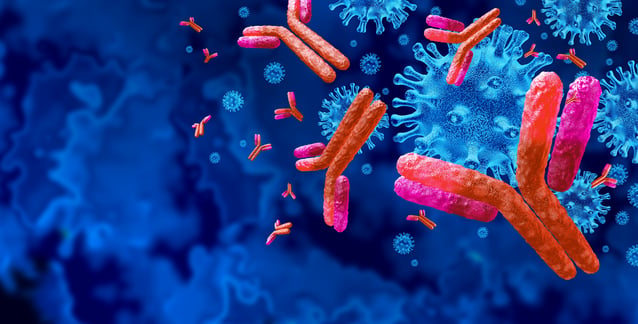 shutterstock_2088955810-antibodies2